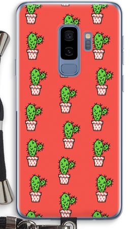 Mini cactus