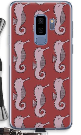 Seahorses