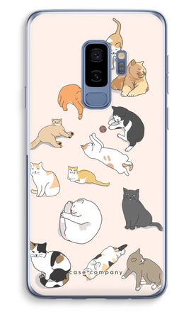 Cats