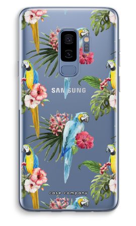 Kleurrijke papegaaien