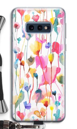 Wild Colorful Flowers