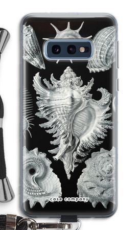 Haeckel Prosobranchia