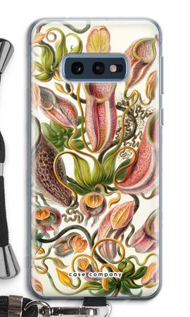 Haeckel Nepenthaceae