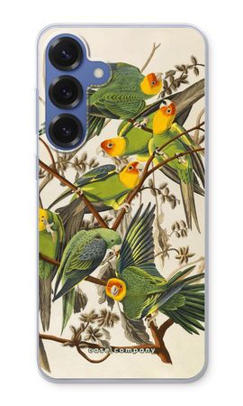 Carolina Parrot