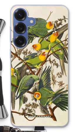 Carolina Parrot