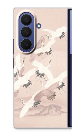 Japanese Crane Birds