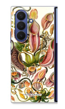 Haeckel Nepenthaceae