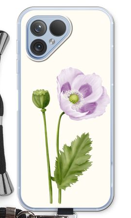 Purple poppy