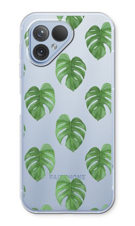 Monstera leaves