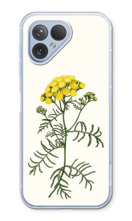 Tansy
