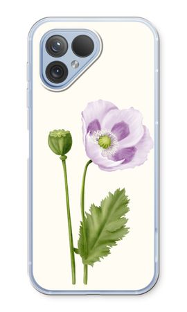 Purple poppy