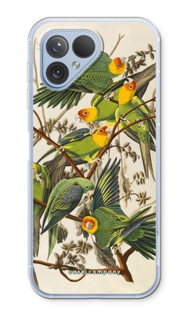 Carolina Parrot