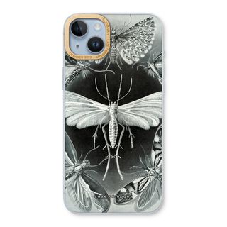 Haeckel Tineida