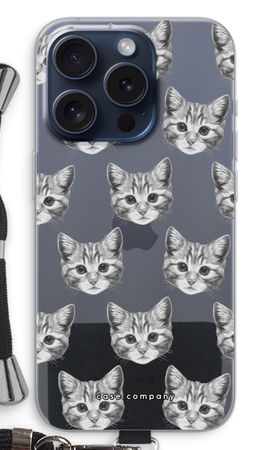 Kitten