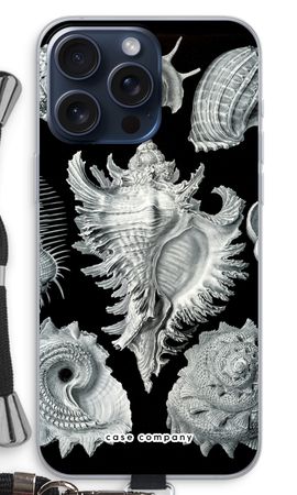 Haeckel Prosobranchia