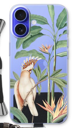 Tropical Parrot