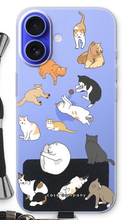 Cats
