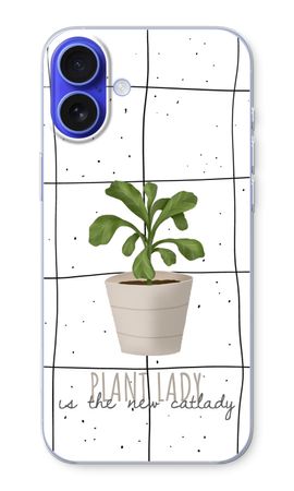 Houseplant on windowpane