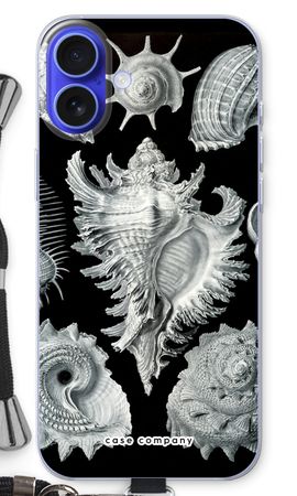 Haeckel Prosobranchia