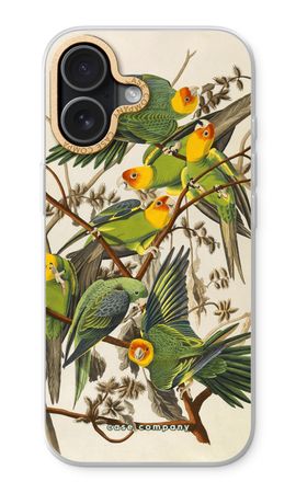 Carolina Parrot
