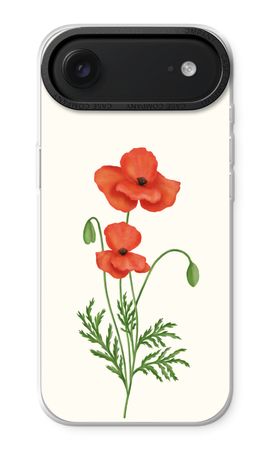 Red poppy