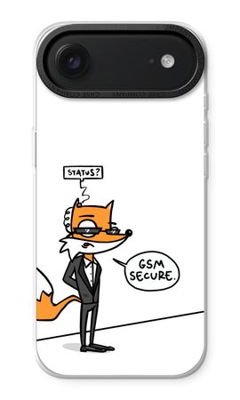 GSM secure