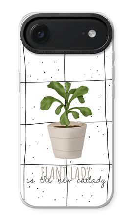Houseplant on windowpane