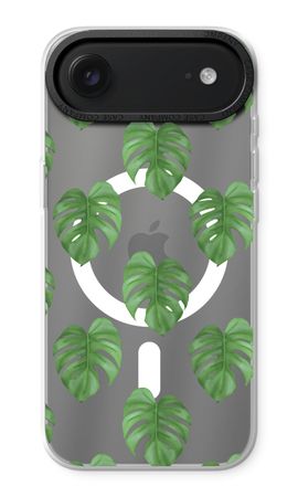 Monstera leaves