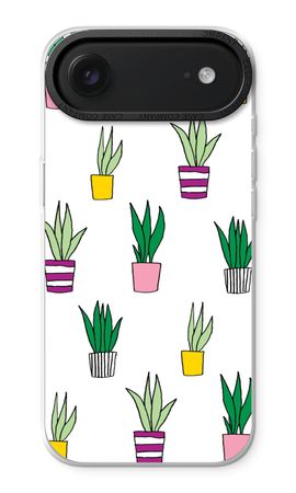 Sanseveria