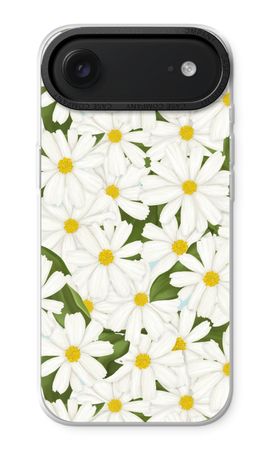 Summer Daisies
