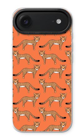 Cheetah