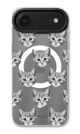 Kitten