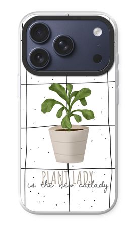 Houseplant on windowpane