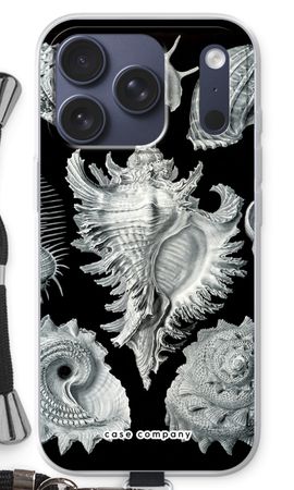 Haeckel Prosobranchia