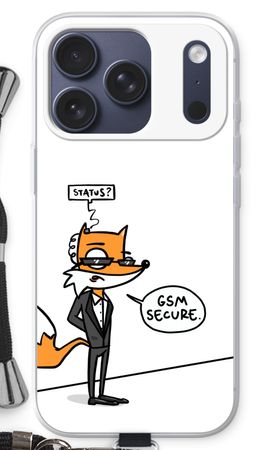 GSM secure