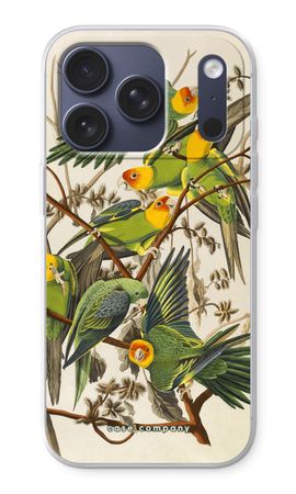 Carolina Parrot