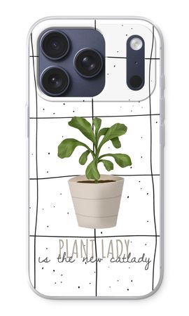 Houseplant on windowpane