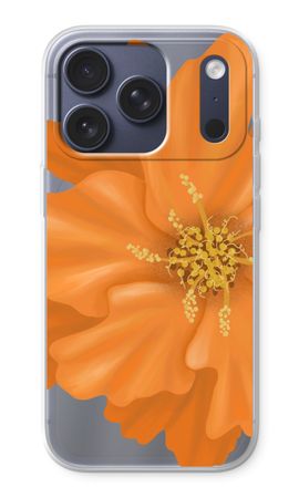 Orange Ellila flower