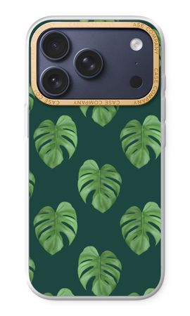 Monstera leaves