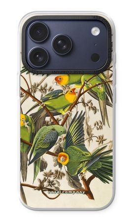 Carolina Parrot