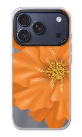 Orange Ellila flower