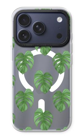 Monstera leaves