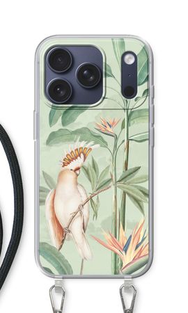 Tropical Parrot