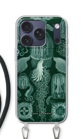 Haeckel Cubomedusae