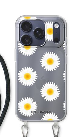 Daisies