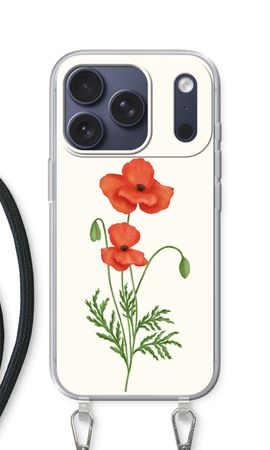 Red poppy