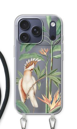 Tropical Parrot