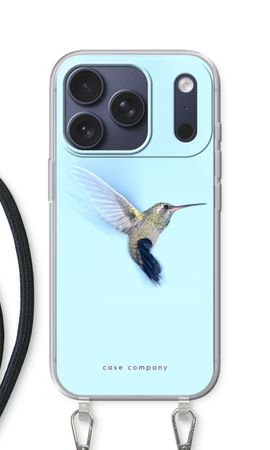 Hummingbird