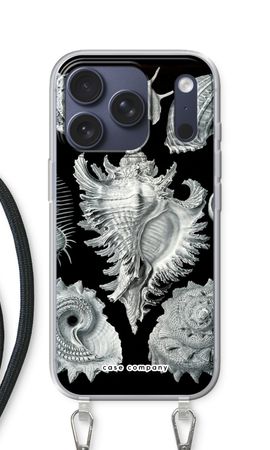 Haeckel Prosobranchia