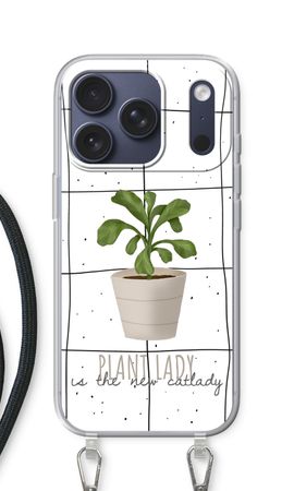 Houseplant on windowpane